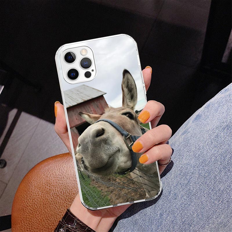เคสโทรศัพท์ลายลาตลกๆ สำหรับ iP - Phone Cases Quirky บทวิจารณ์และราคา